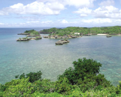 Taklong Island National Marine Reserve